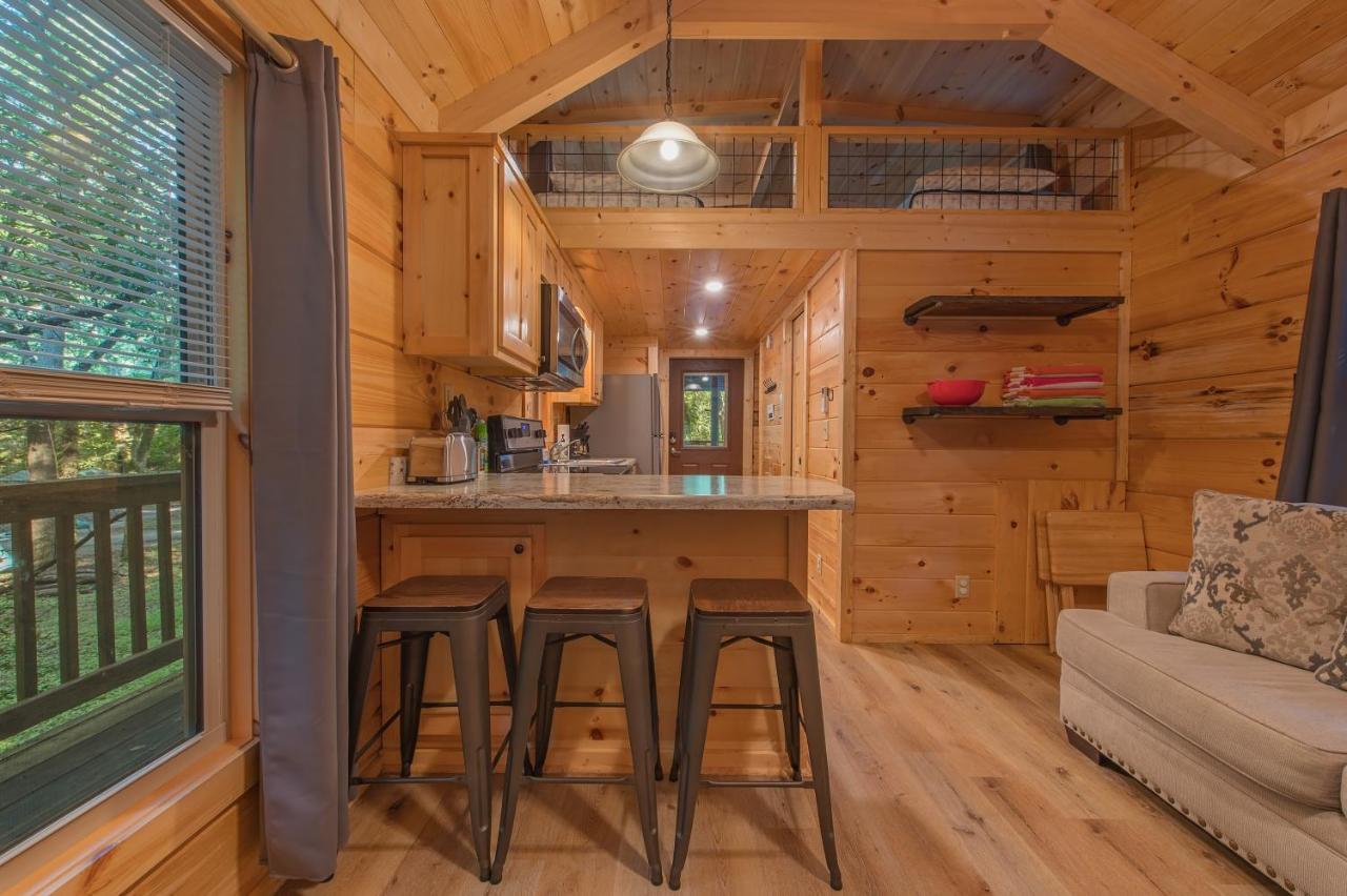 Celina Cabin Nature Cabin Near Downtown 查塔努加 外观 照片