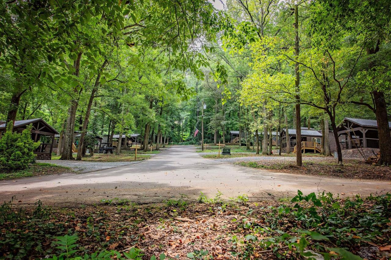 Celina Cabin Nature Cabin Near Downtown 查塔努加 外观 照片