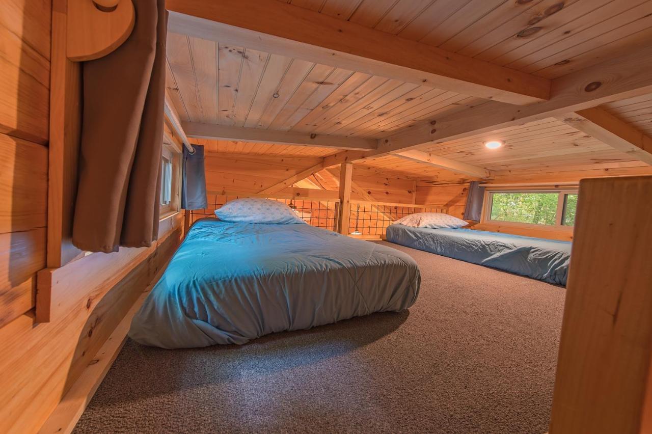 Celina Cabin Nature Cabin Near Downtown 查塔努加 外观 照片